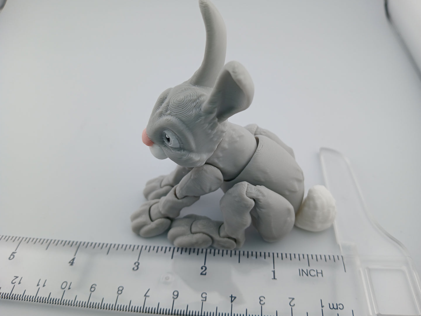 Bunny Rabbit