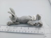 Bunny Rabbit