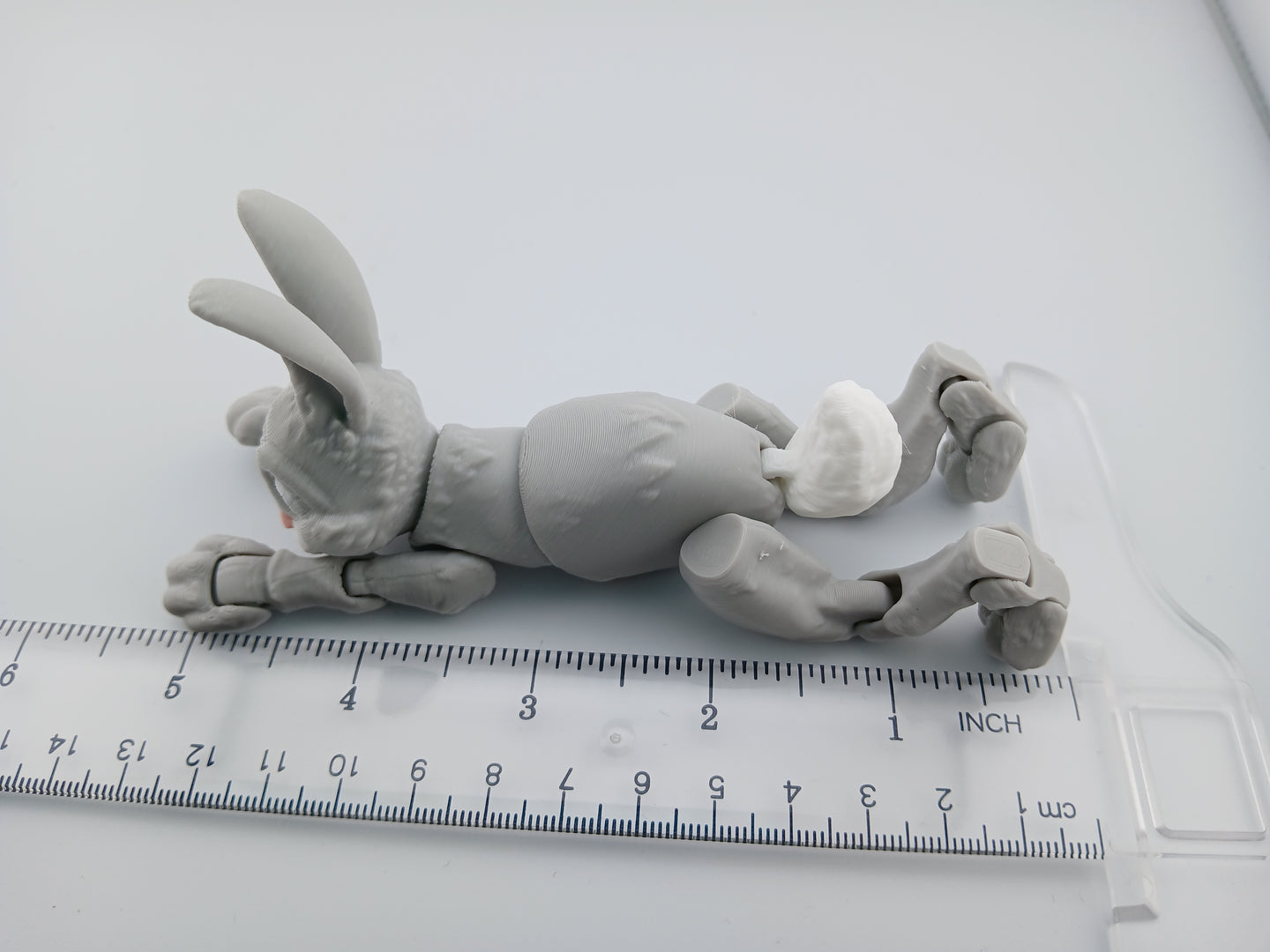 Bunny Rabbit