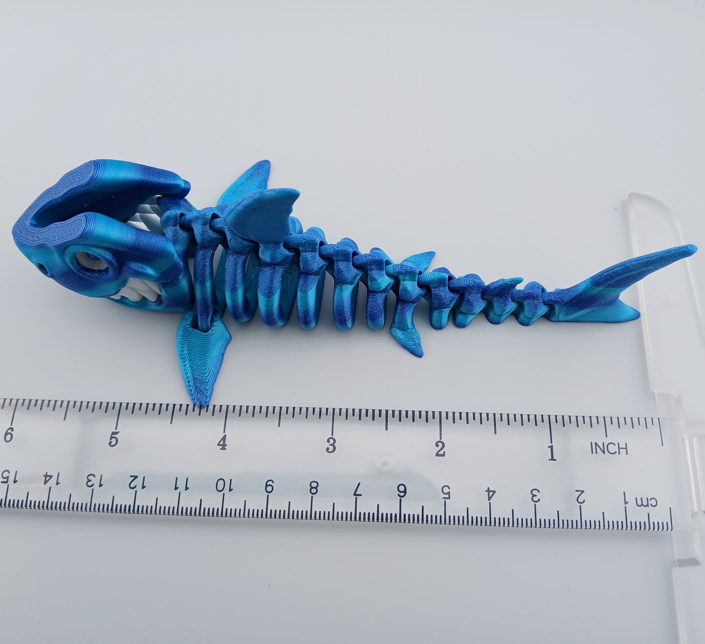 Skeleton Shark