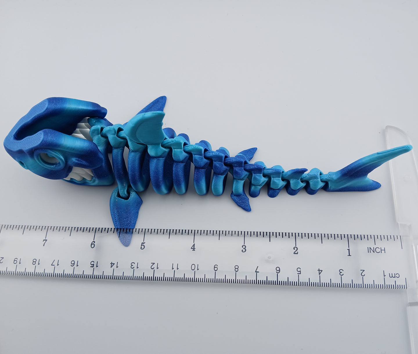 Skeleton Shark