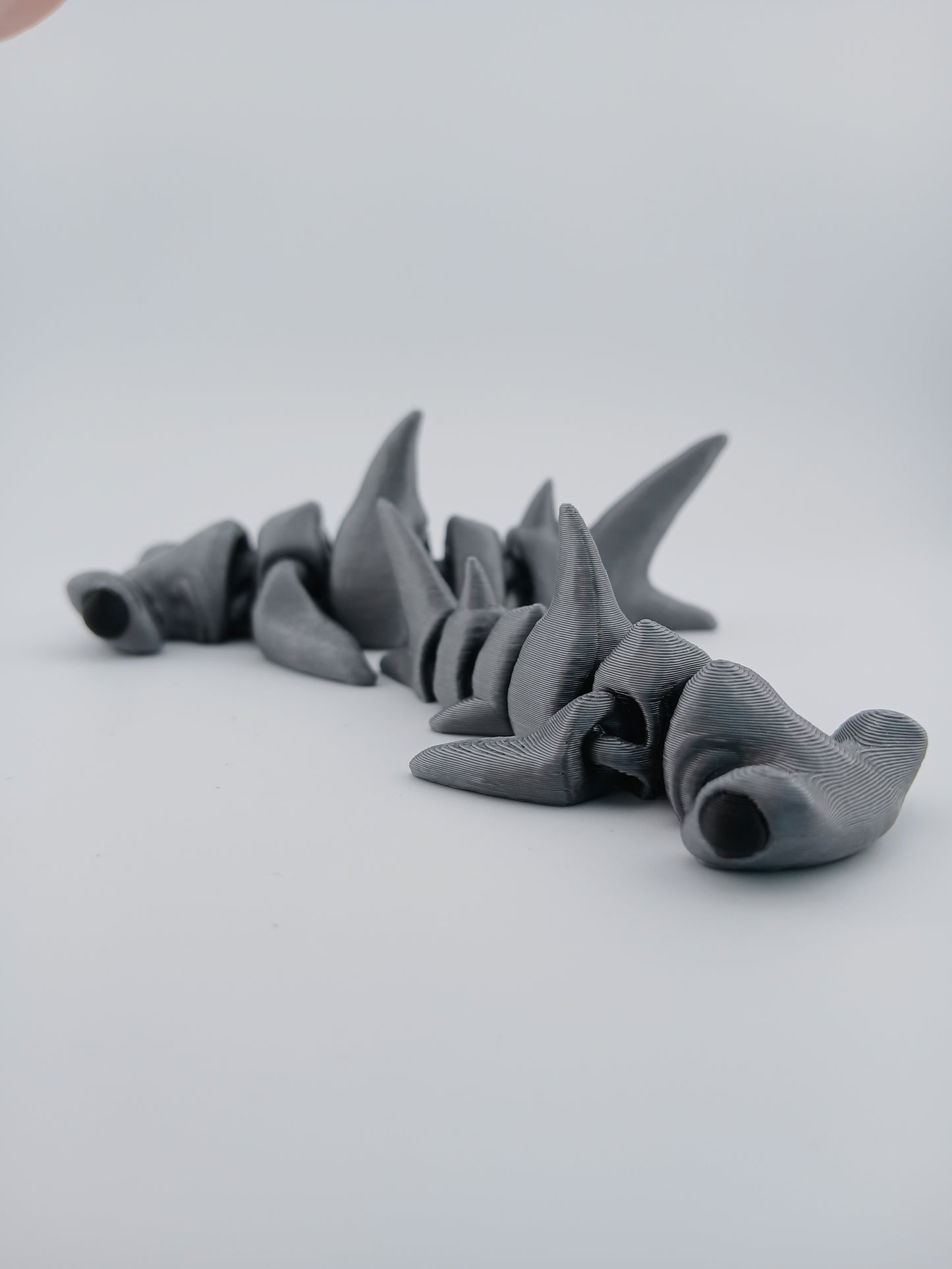 Baby Hammerhead