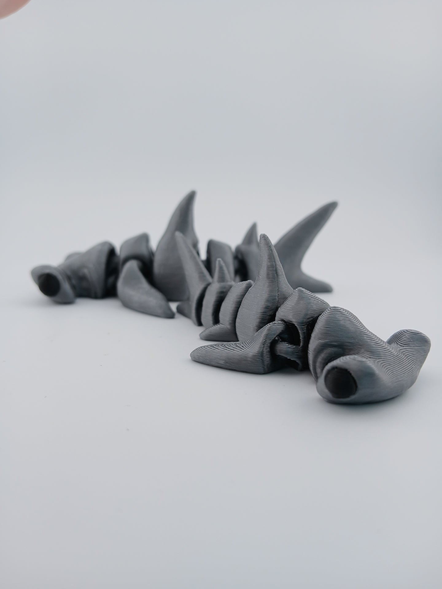 Baby Hammerhead