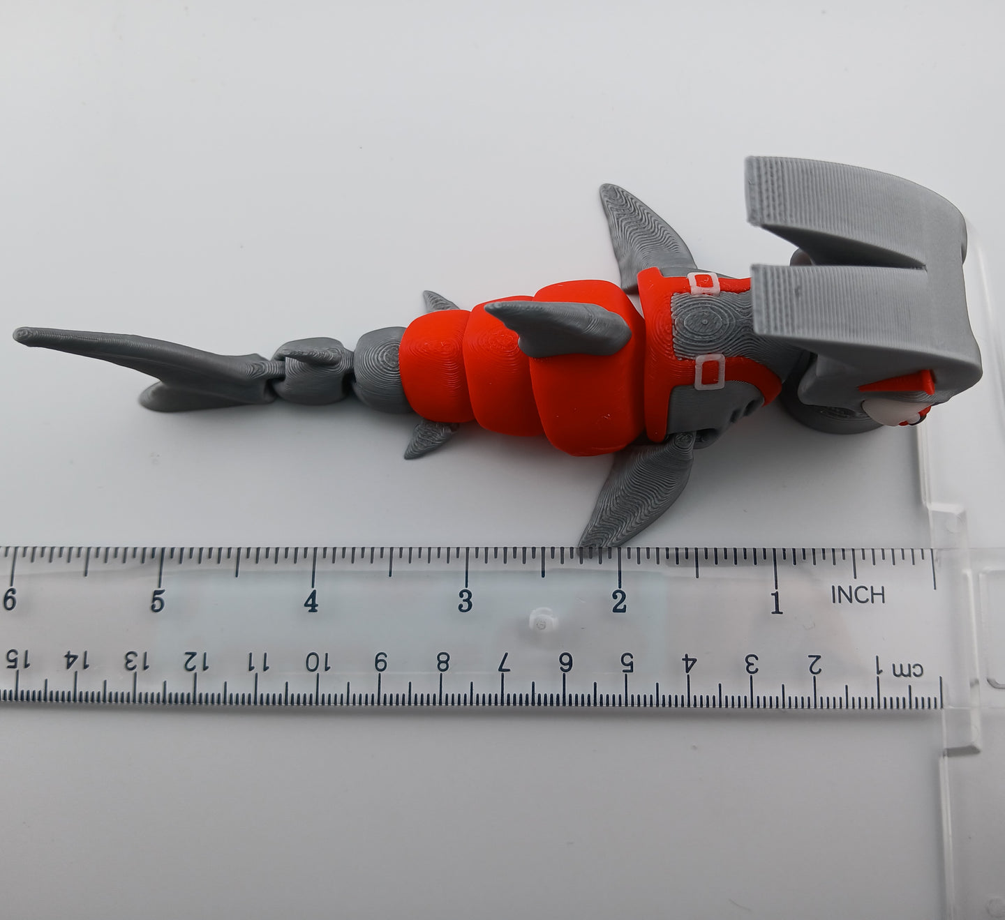 Hammer Head Shark