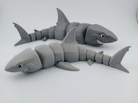 Great White Shark