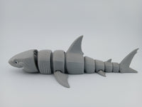 Great White Shark