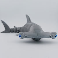 Hammerhead Shark