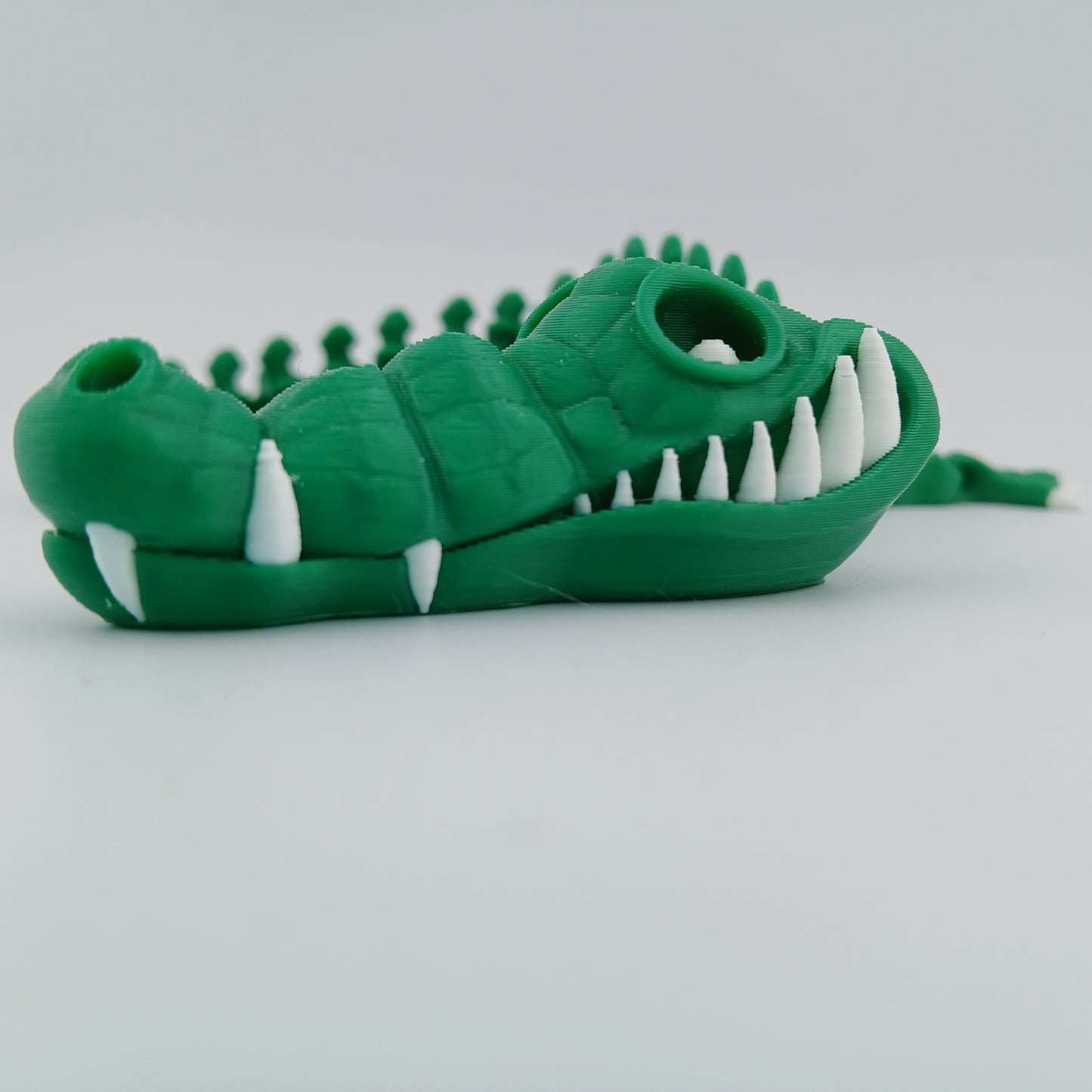 Skeleton Croc