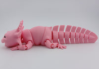 Axolotl - Big Smile