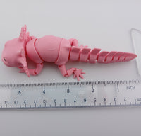 Axolotl - Big Smile