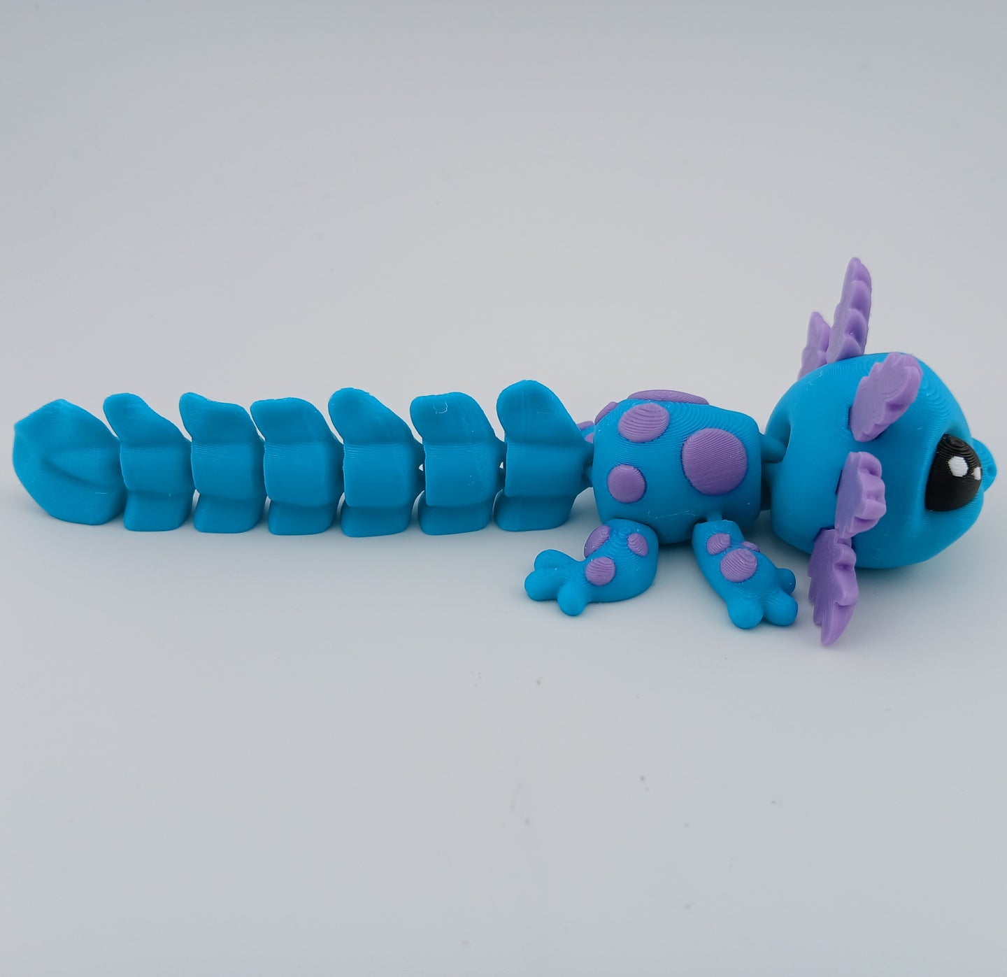 Spotted Axolotl