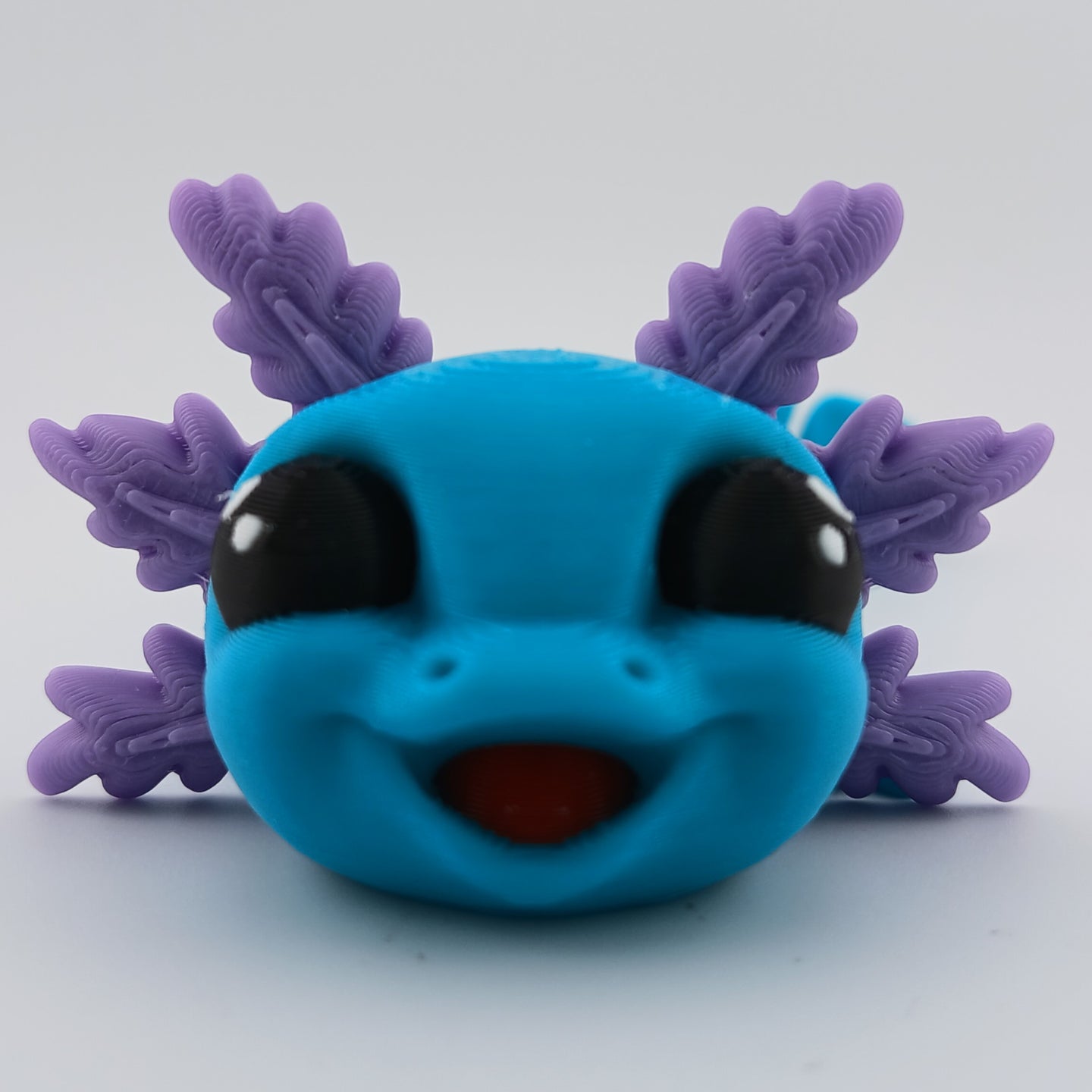 Spotted Axolotl