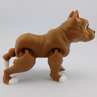 Pitbull