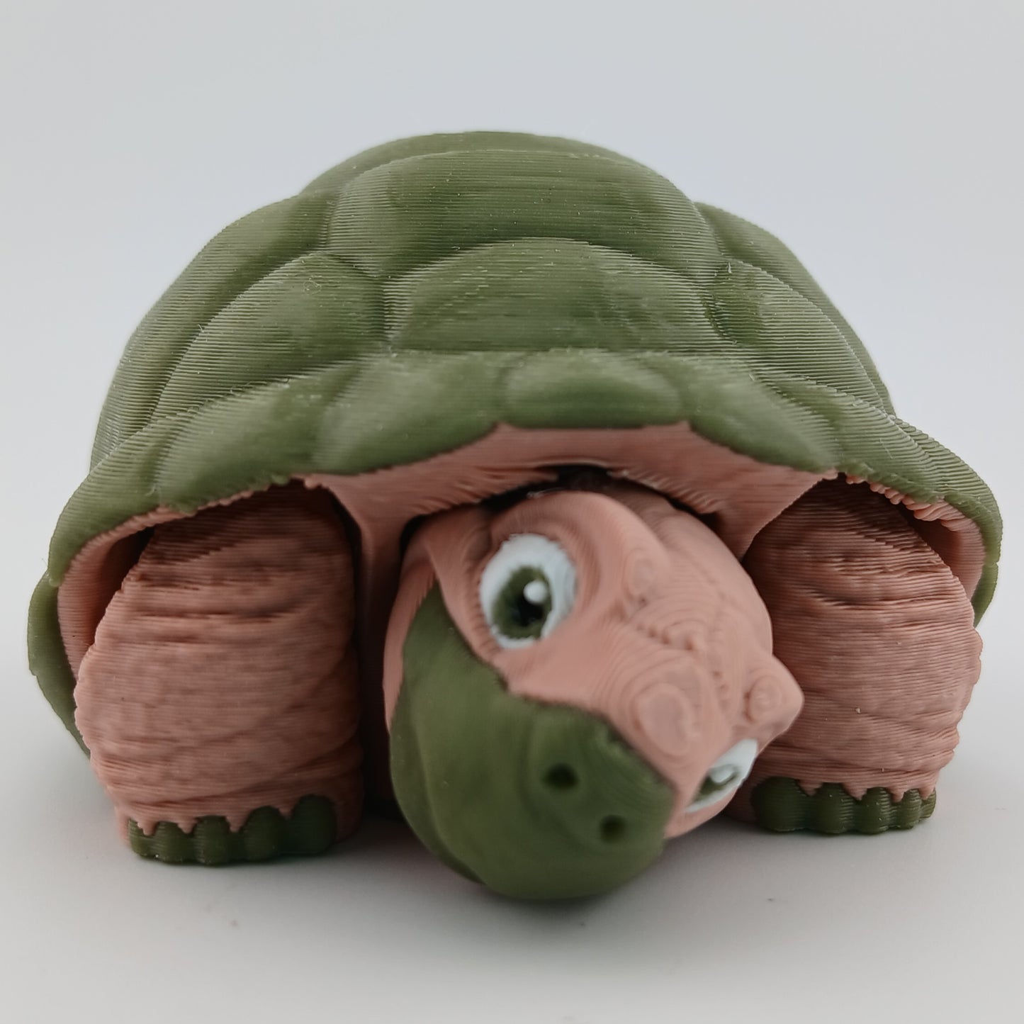 Tortoise