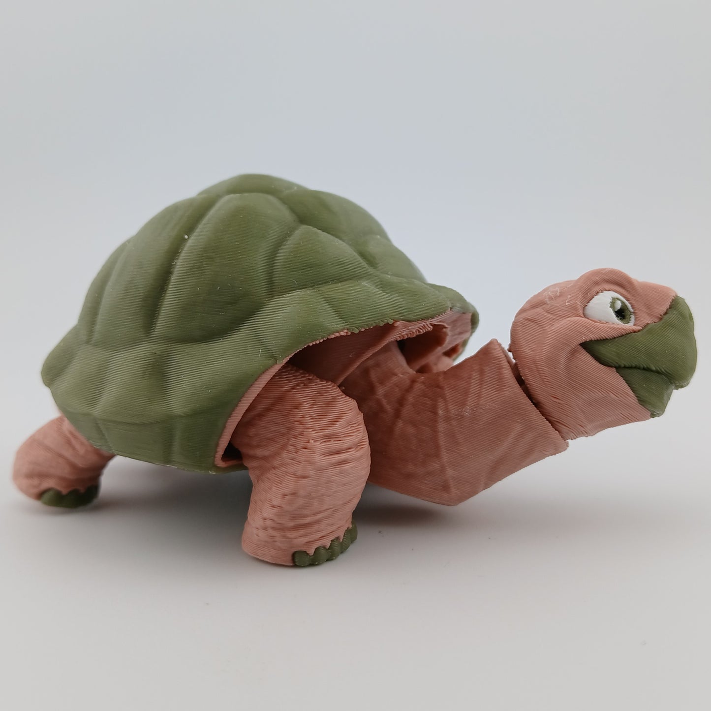 Tortoise