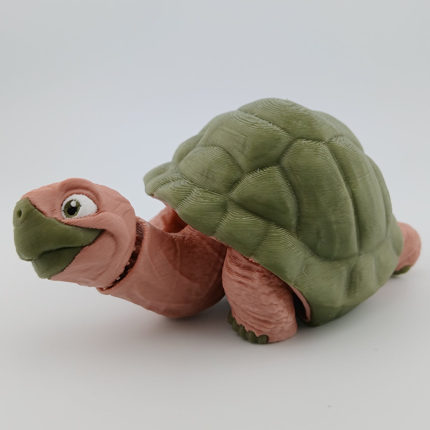 Tortoise