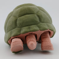 Tortoise