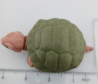 Tortoise