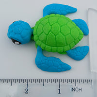 Cute Sea Turtle