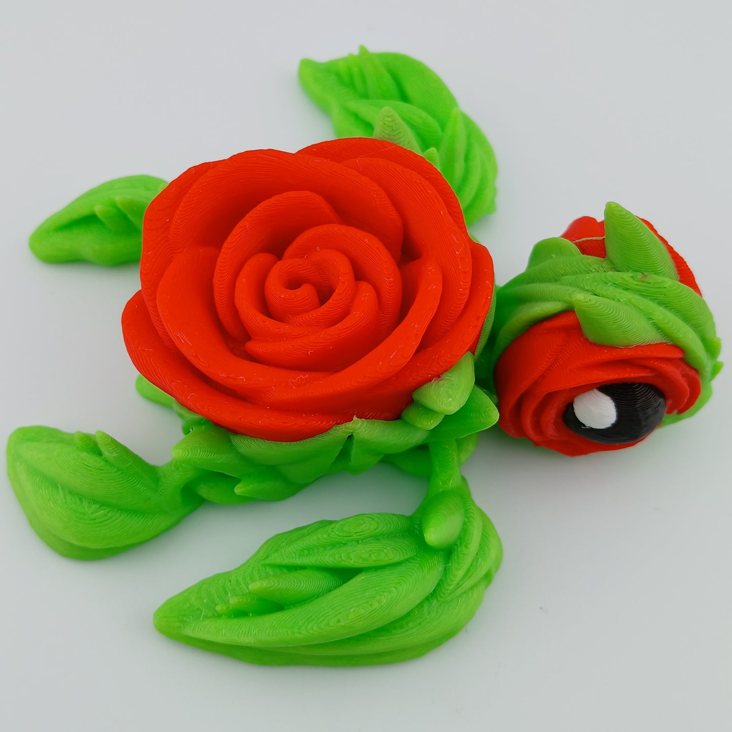Rose Turtle
