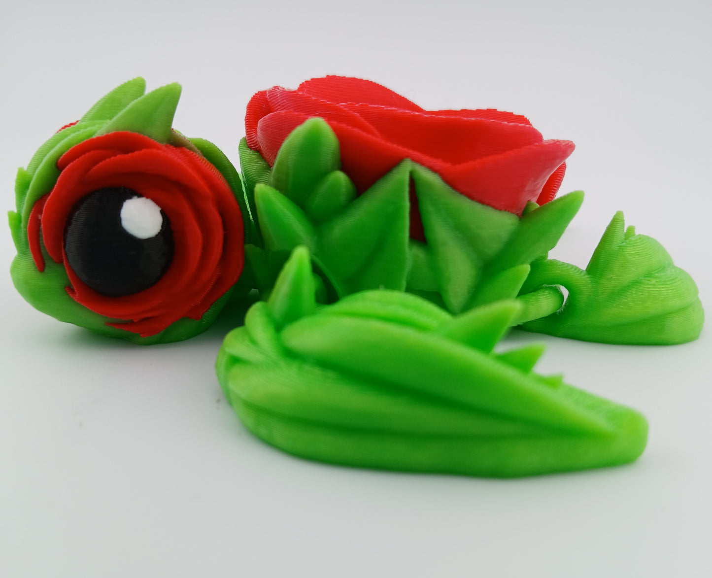 Rose Turtle