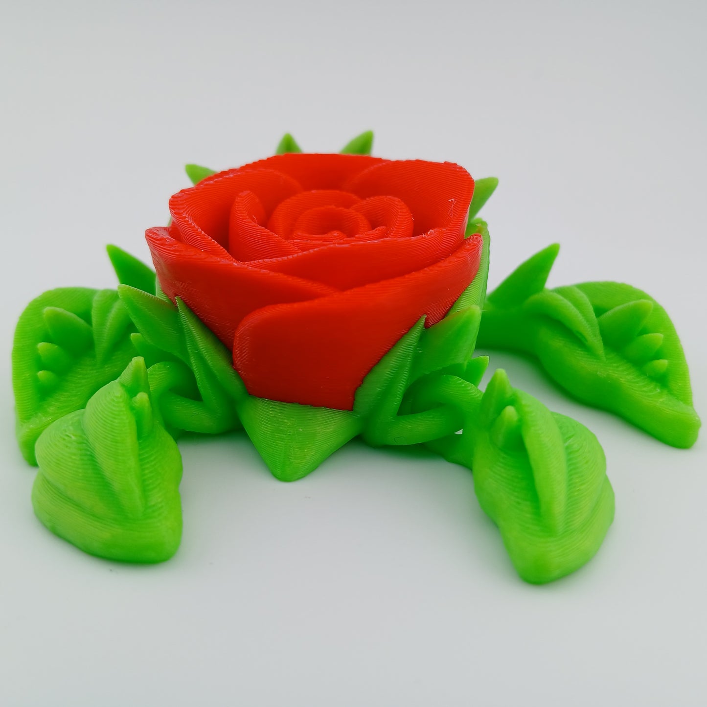 Rose Turtle