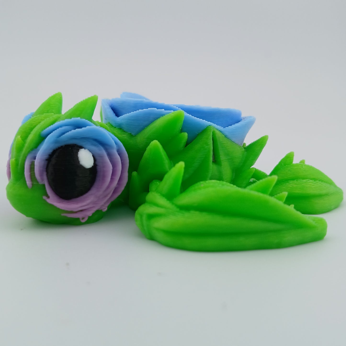 Rose Turtle