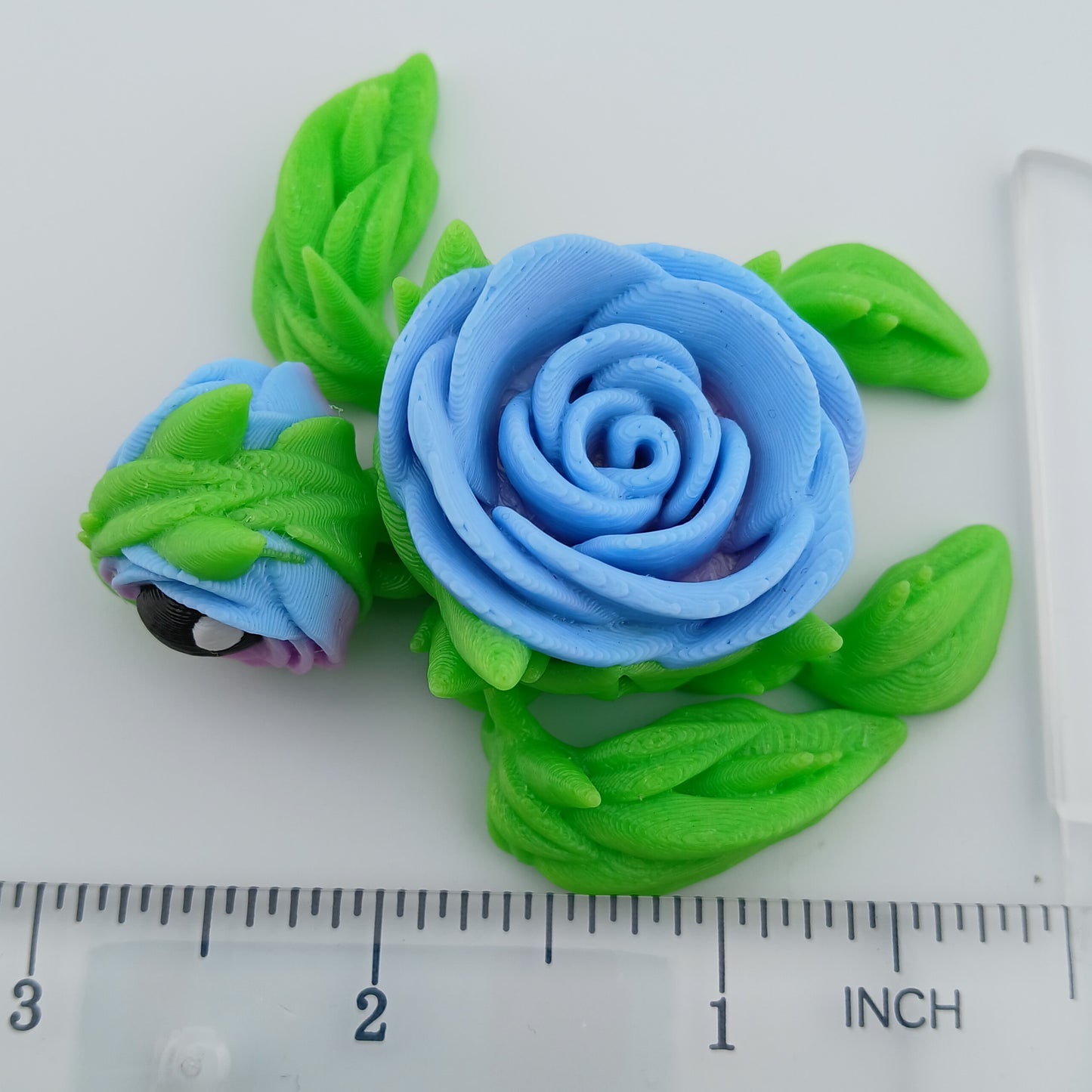 Rose Turtle