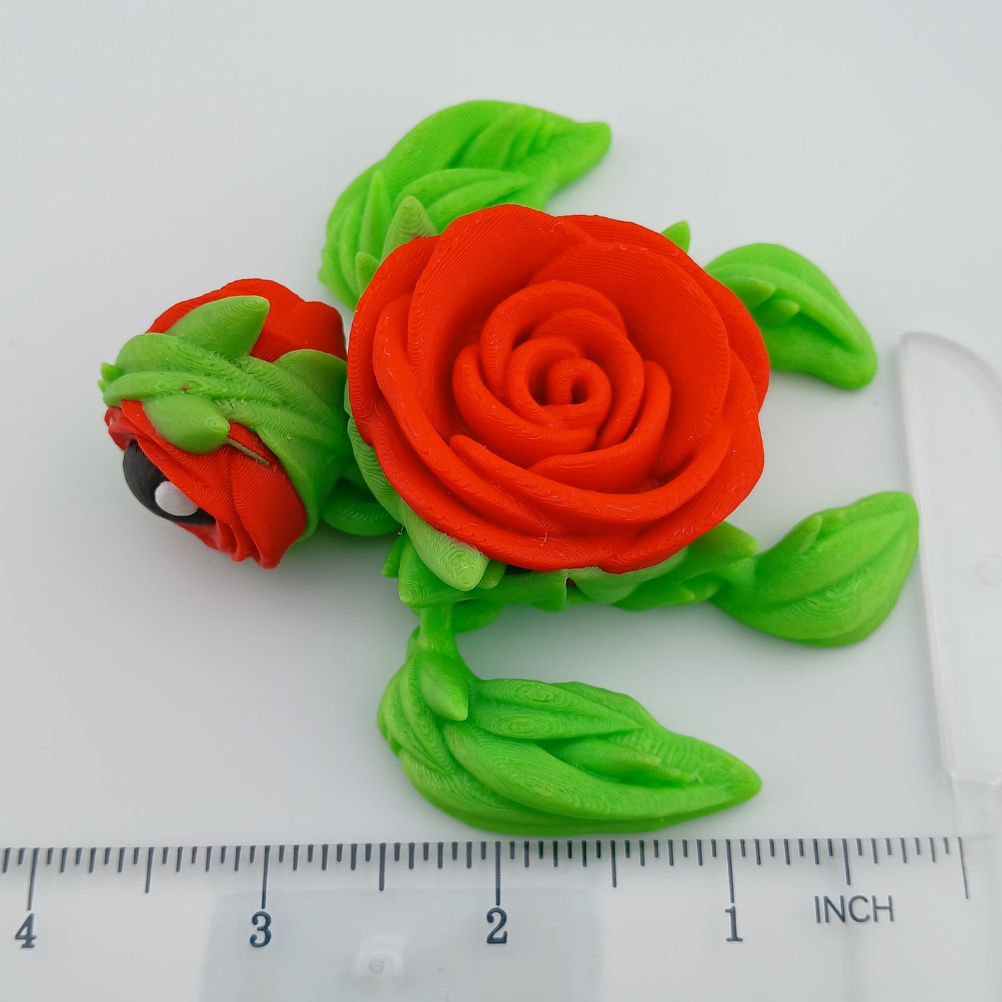 Rose Turtle