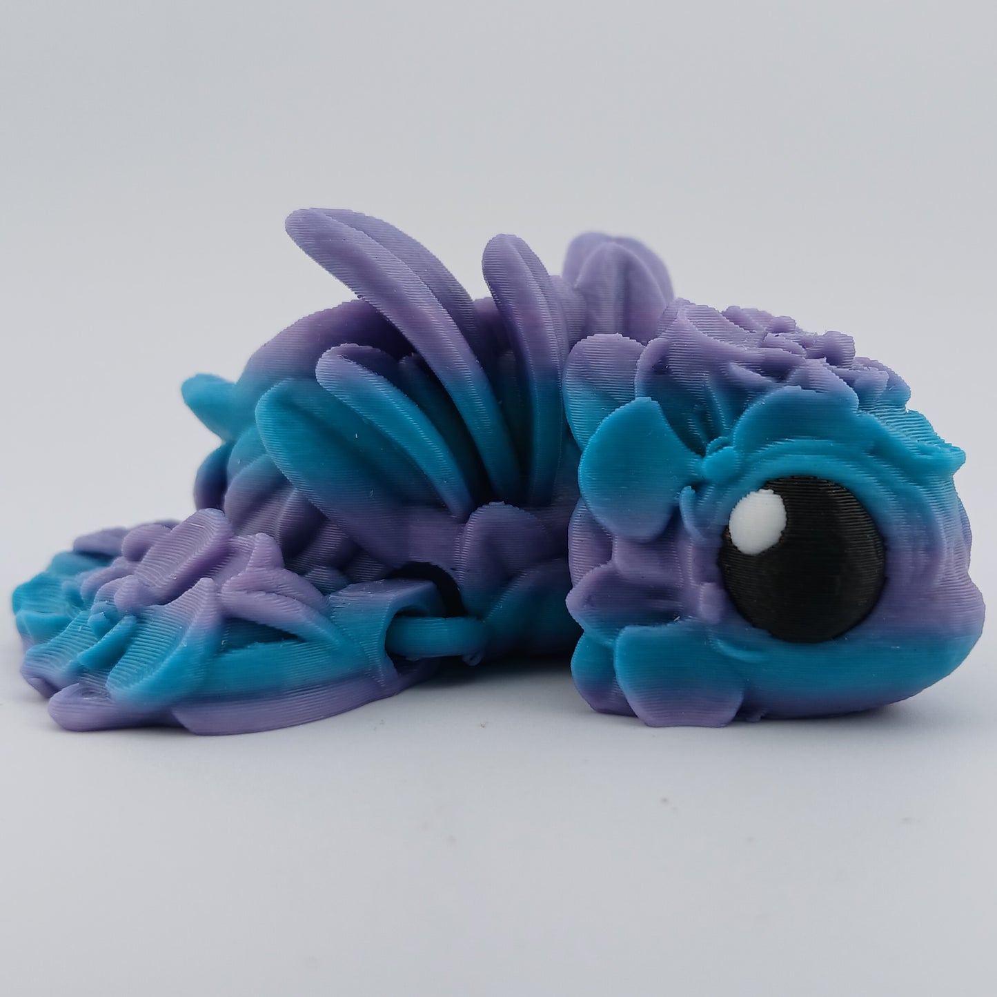 Orchid Turtle
