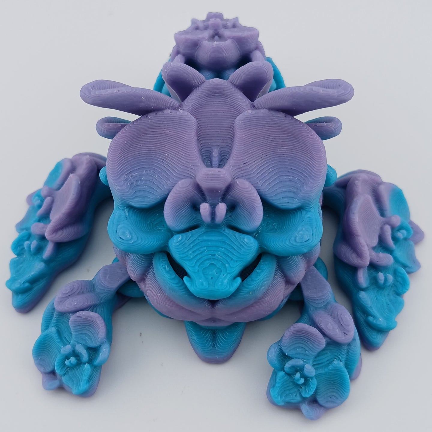 Orchid Turtle