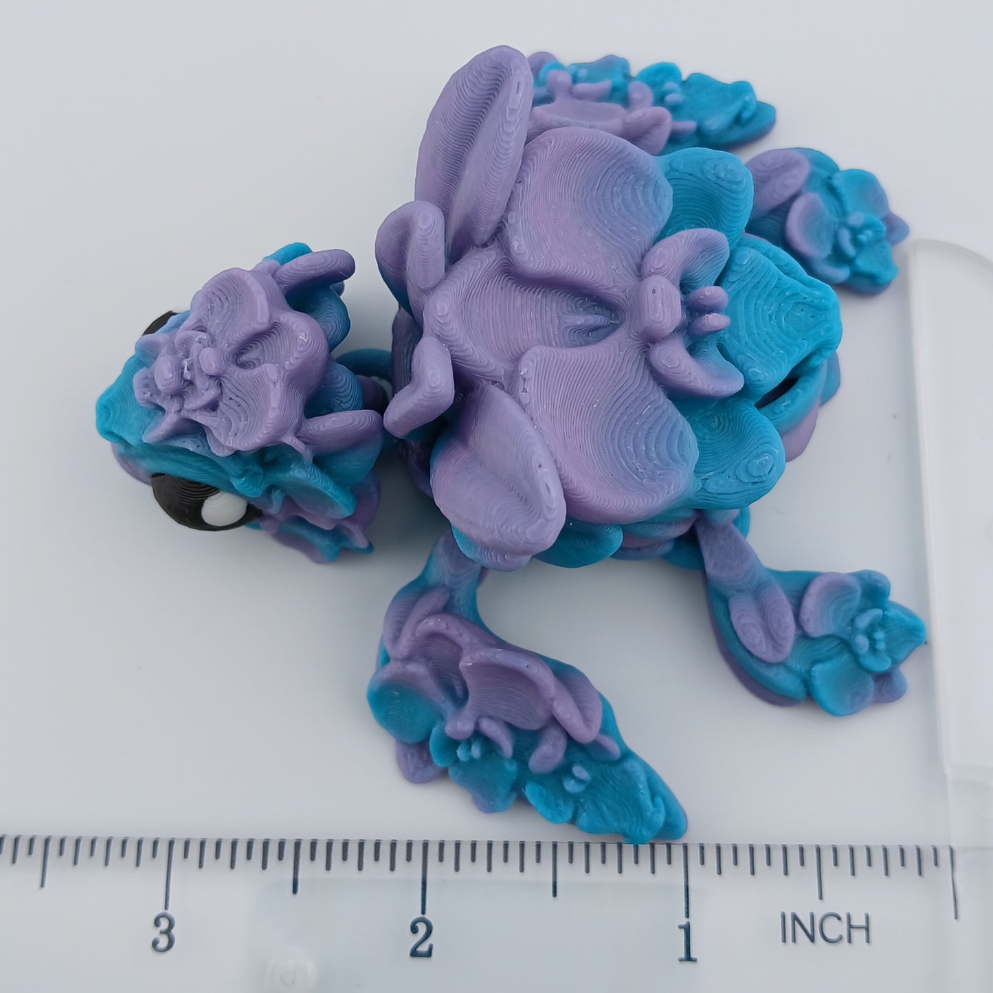 Orchid Turtle