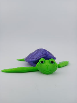turtle