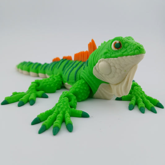 Iguana