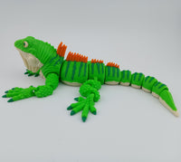 Iguana