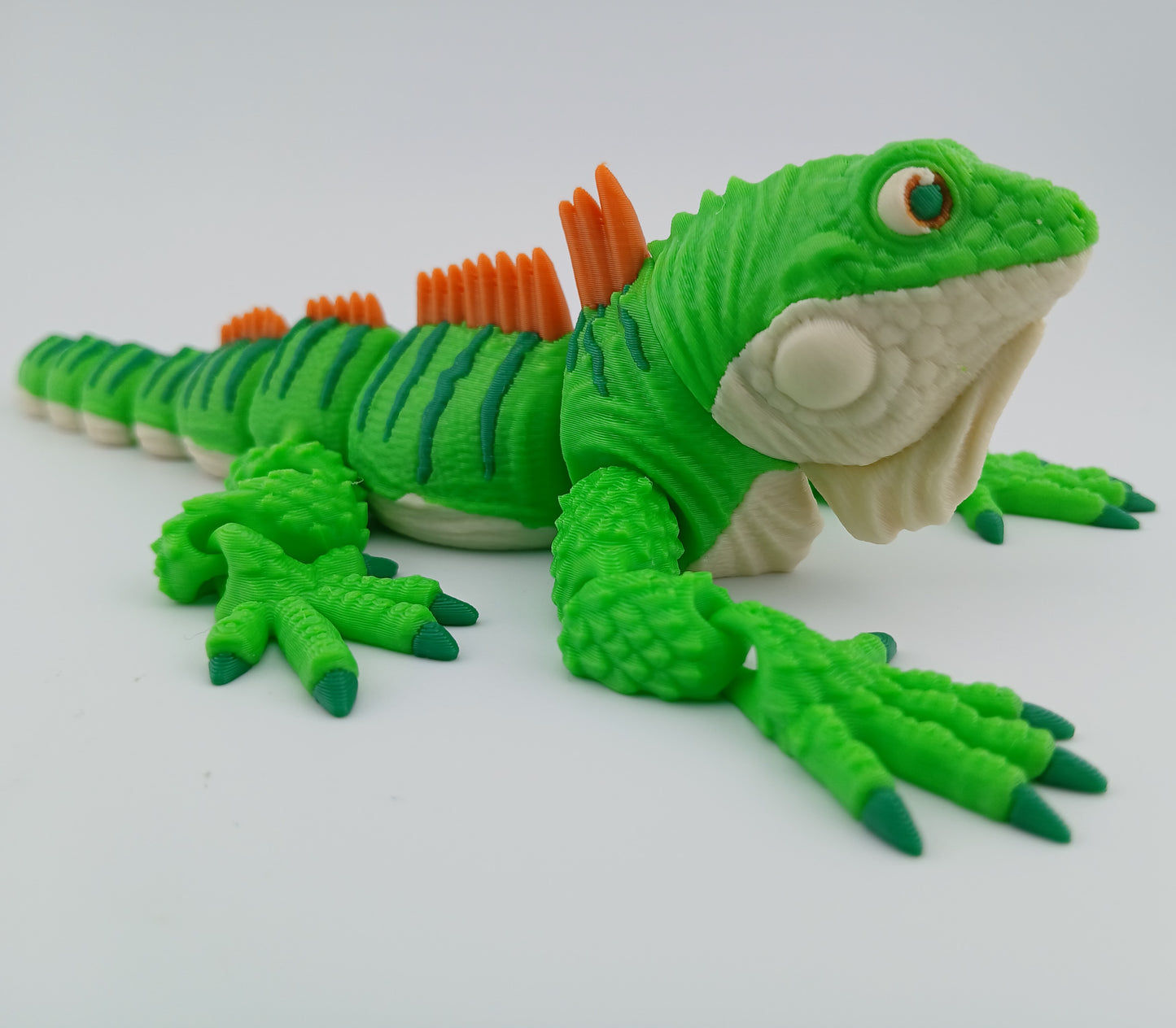 Iguana