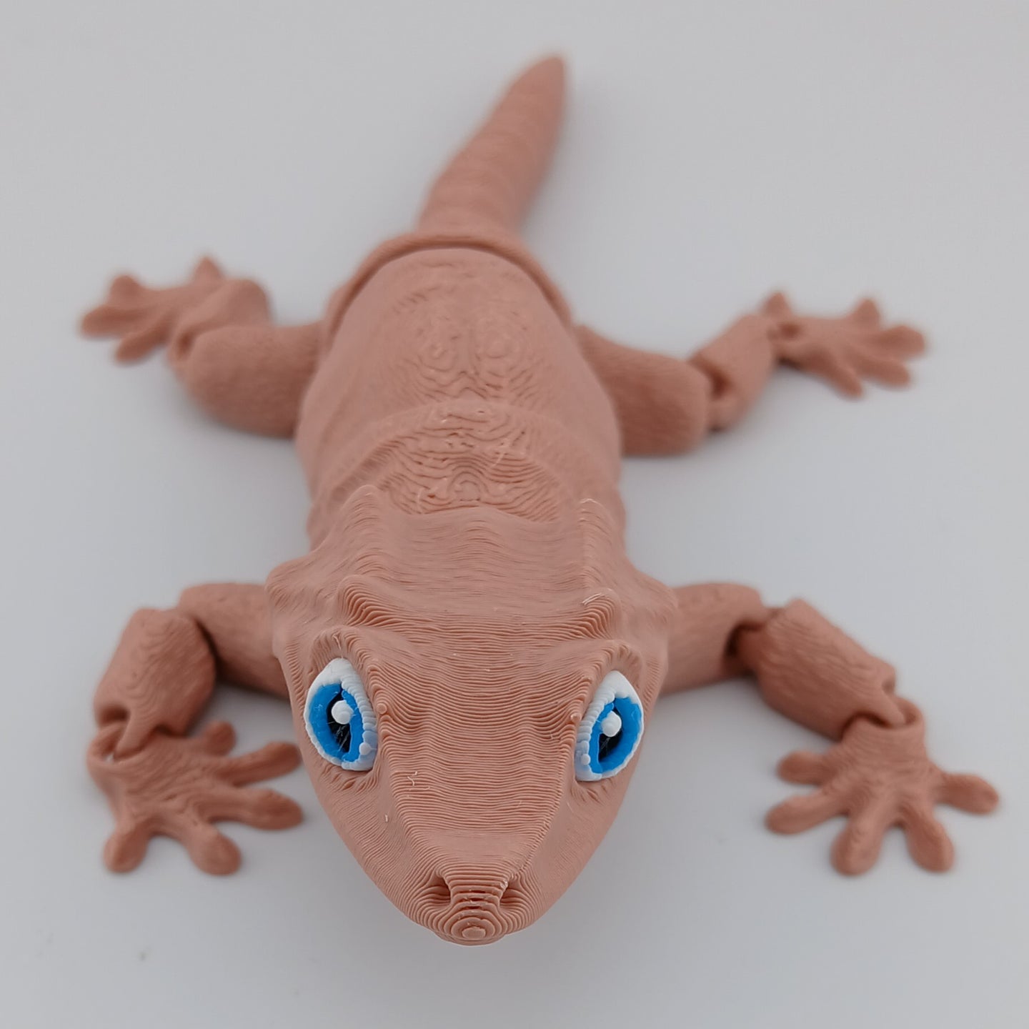 Gargoyle Gecko