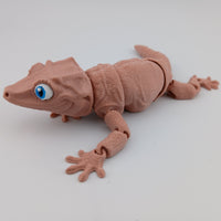 Gargoyle Gecko
