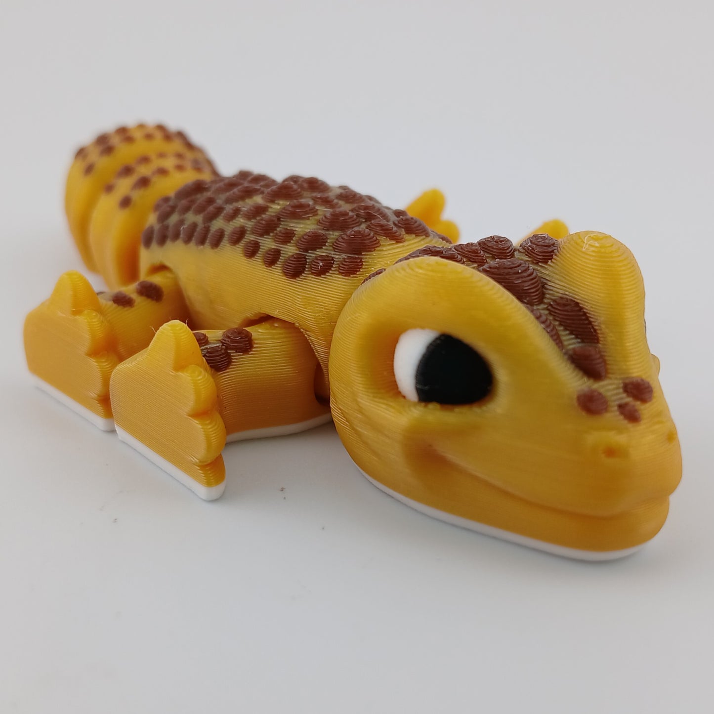 Leopard Gecko