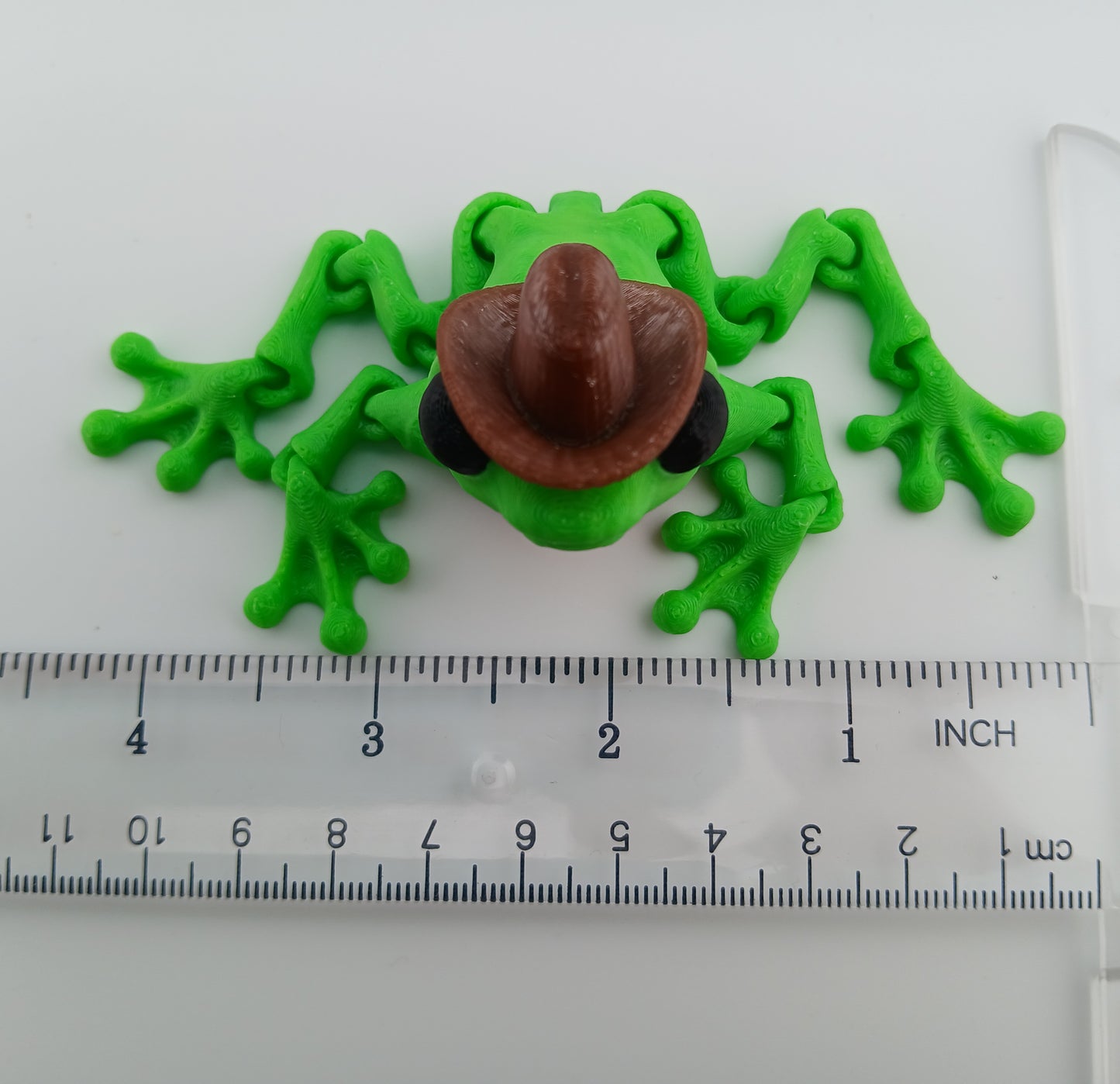 Cowboy Frog