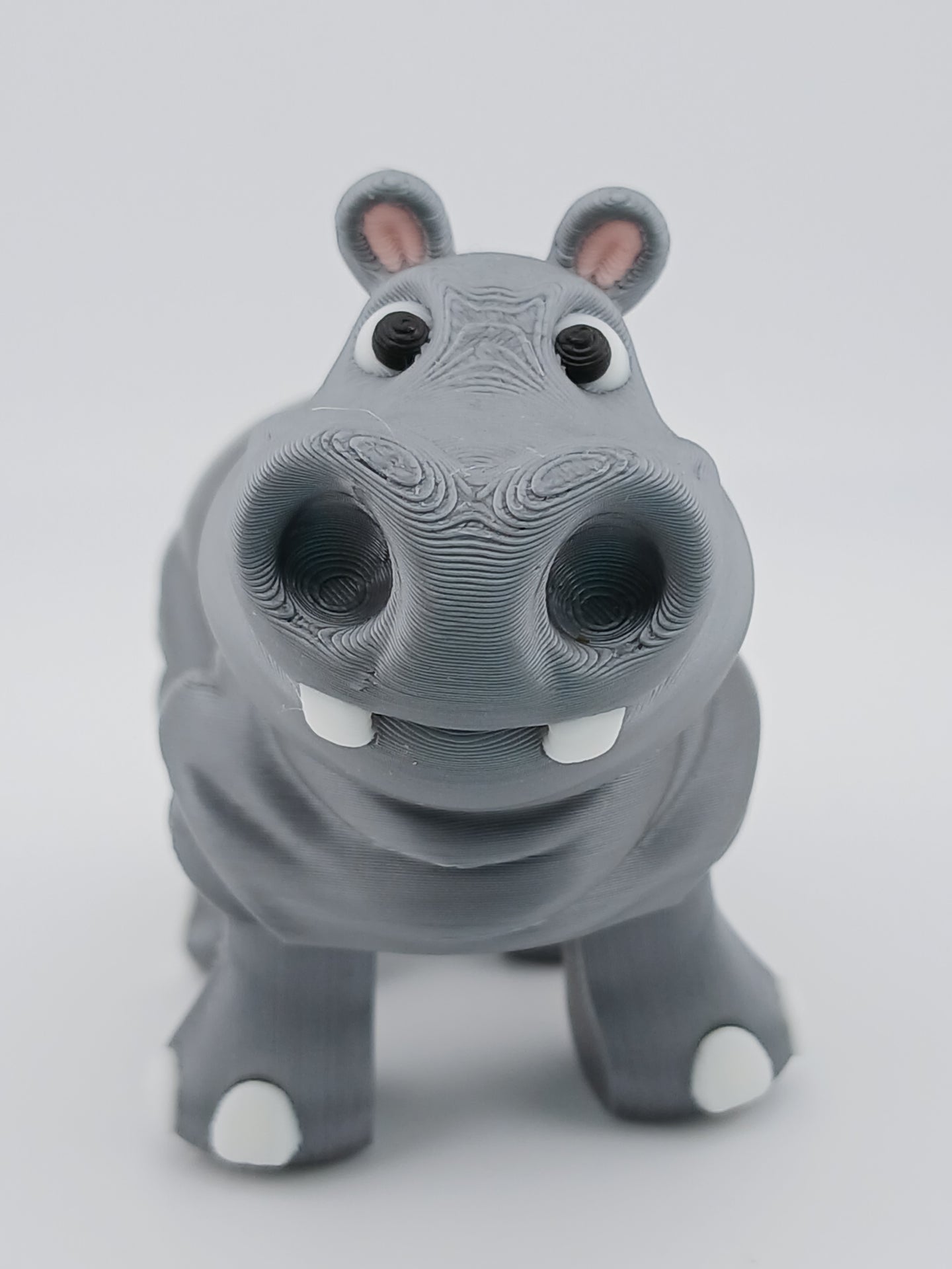 Hippo