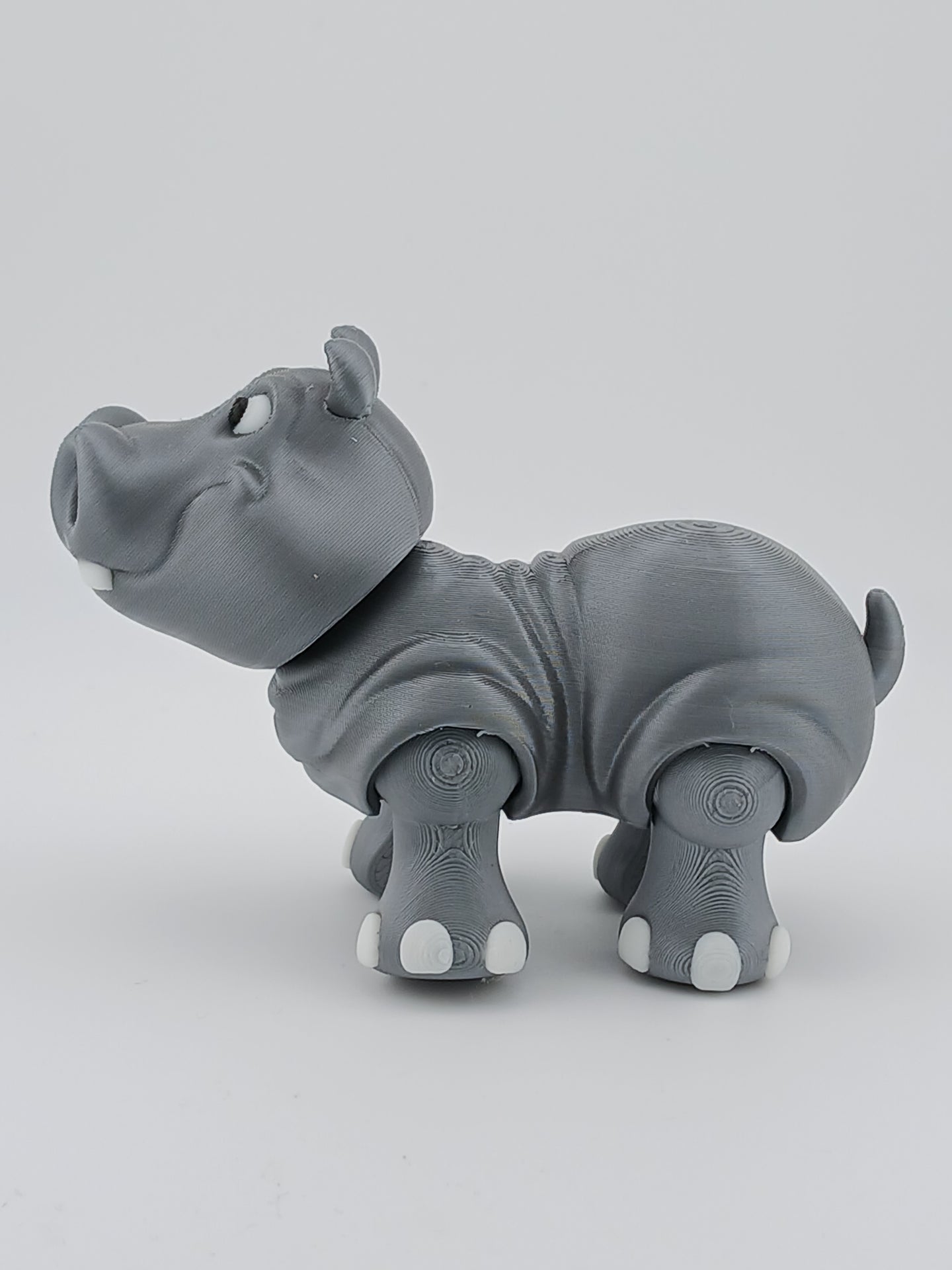 Hippo
