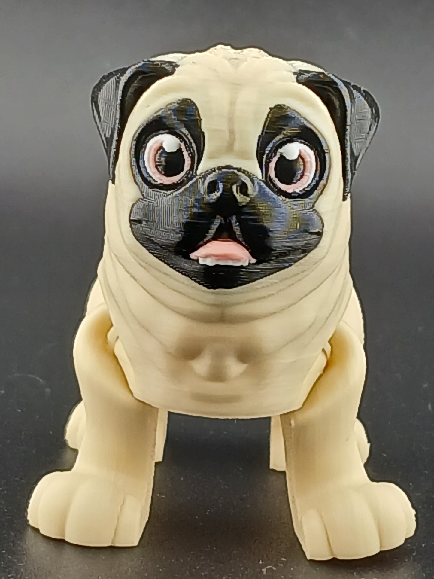 Pug