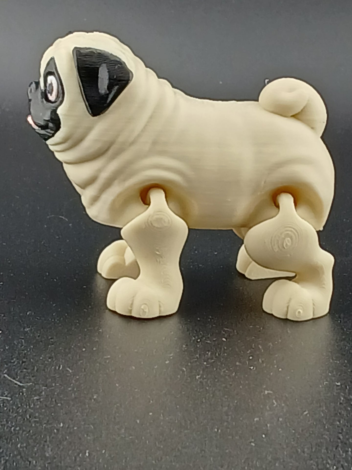 Pug