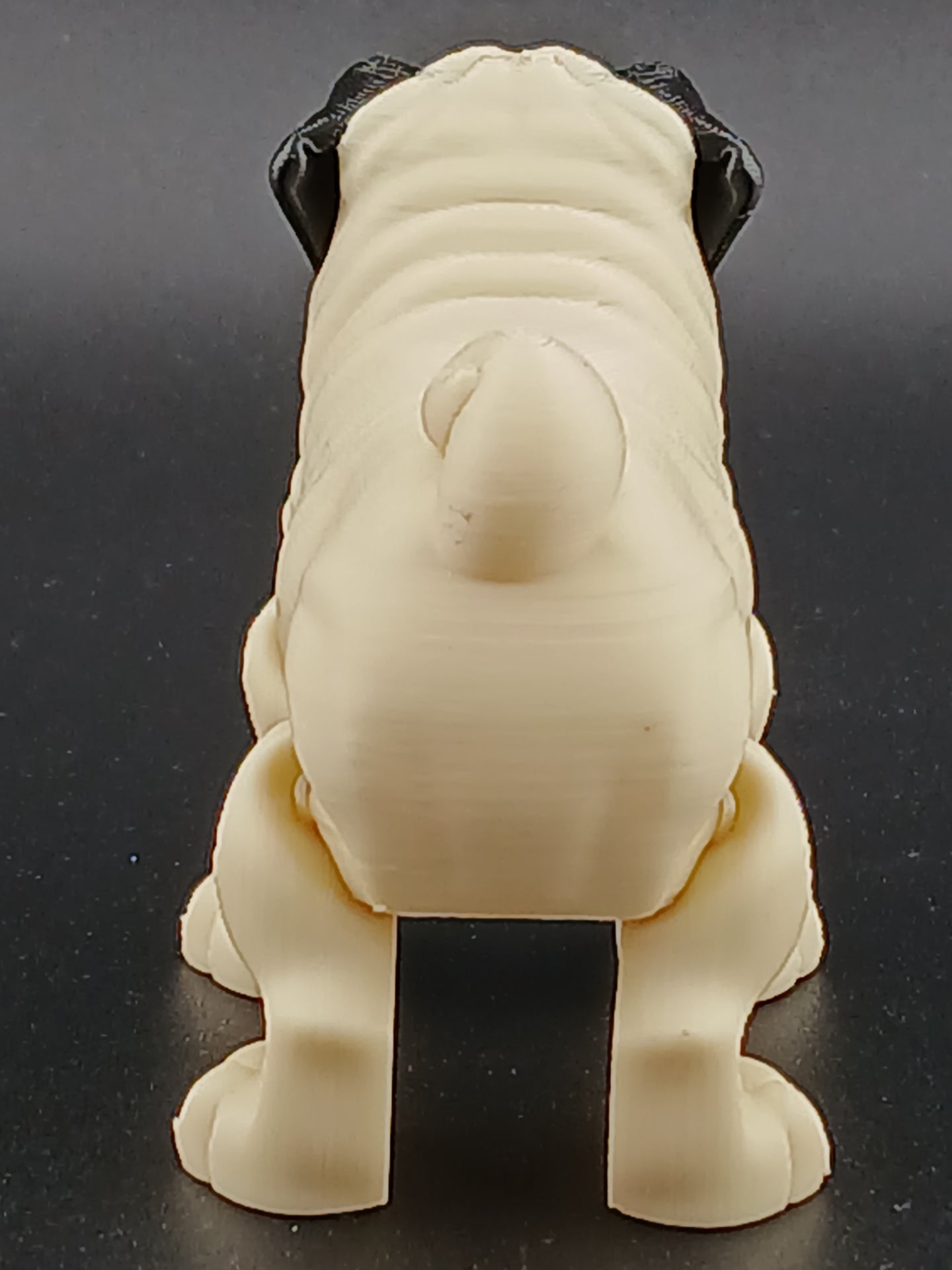 Pug