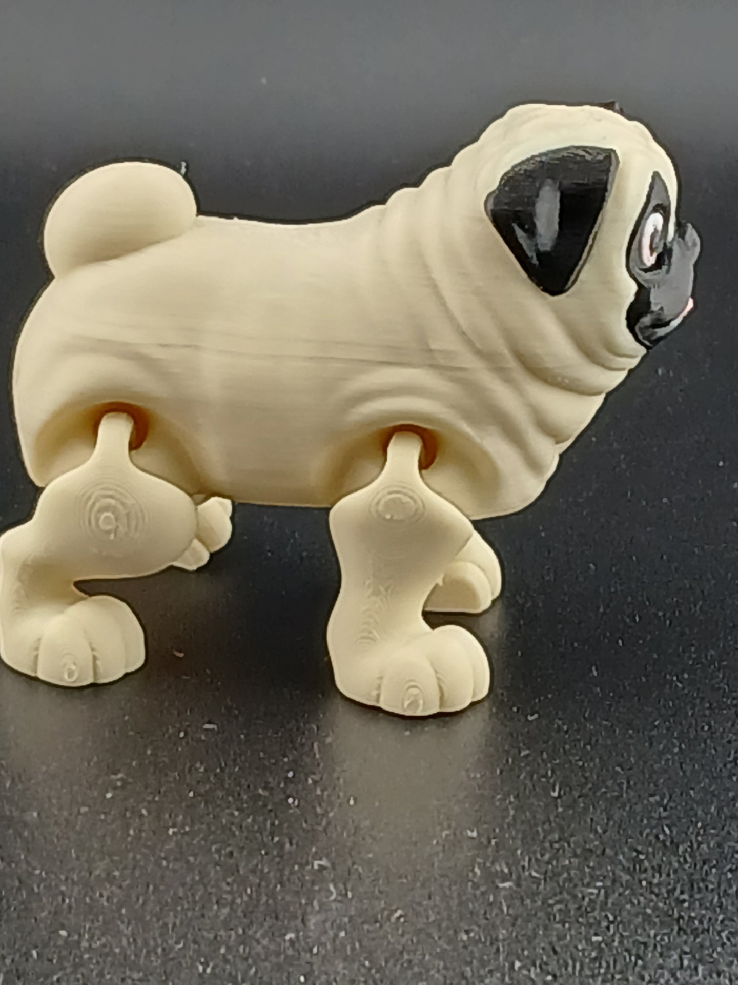 Pug