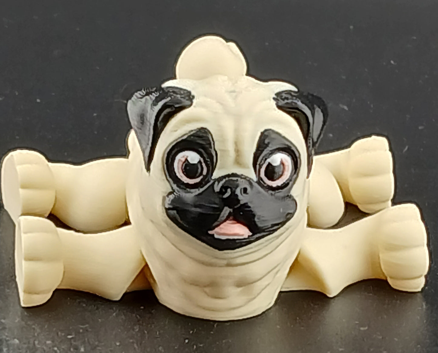 Pug