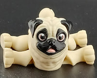 Pug