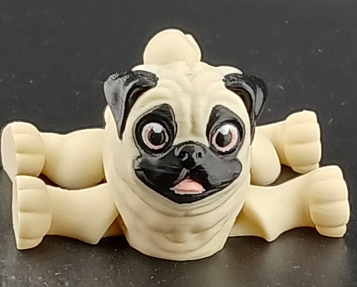 Pug