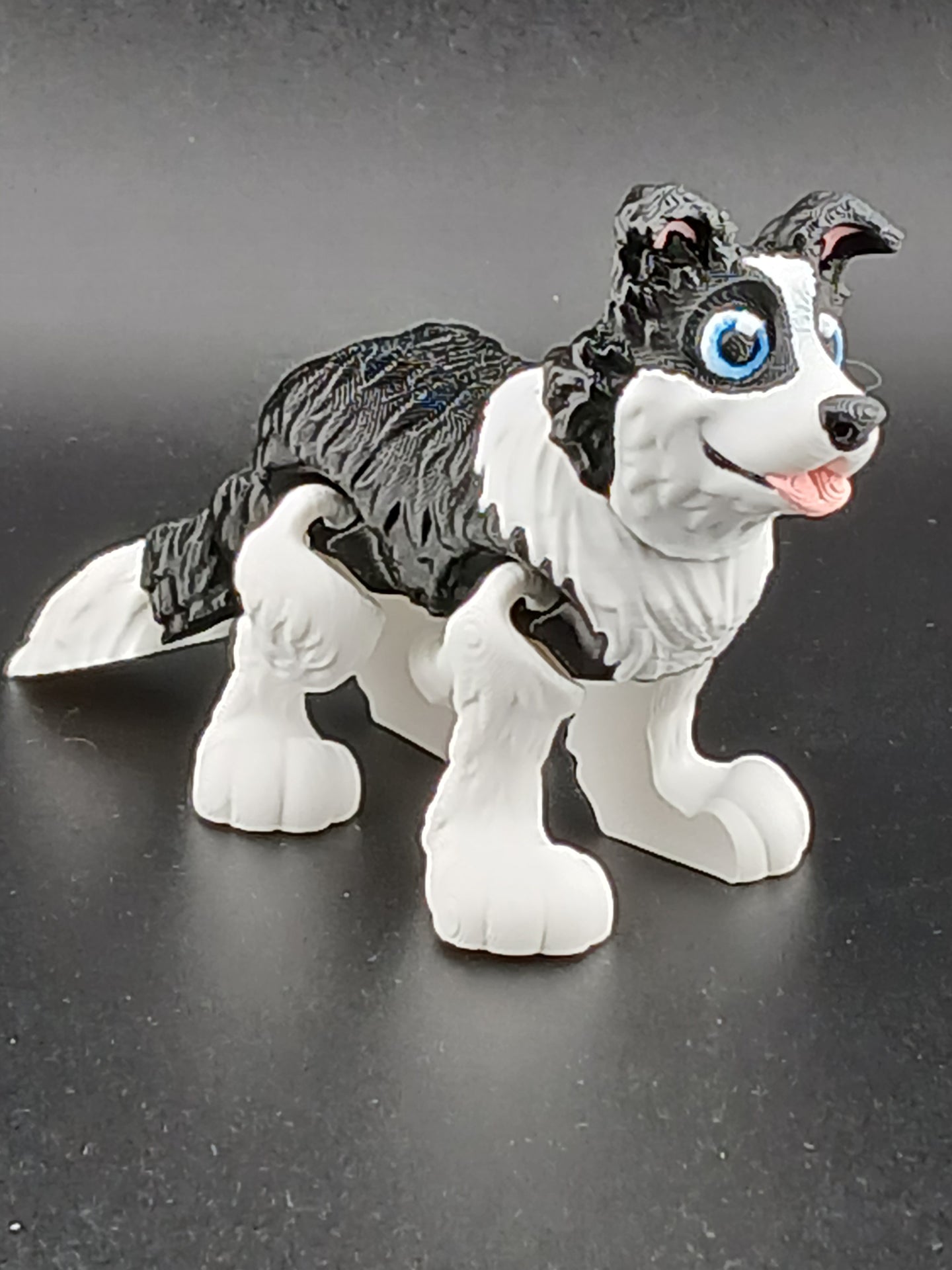Border Collie